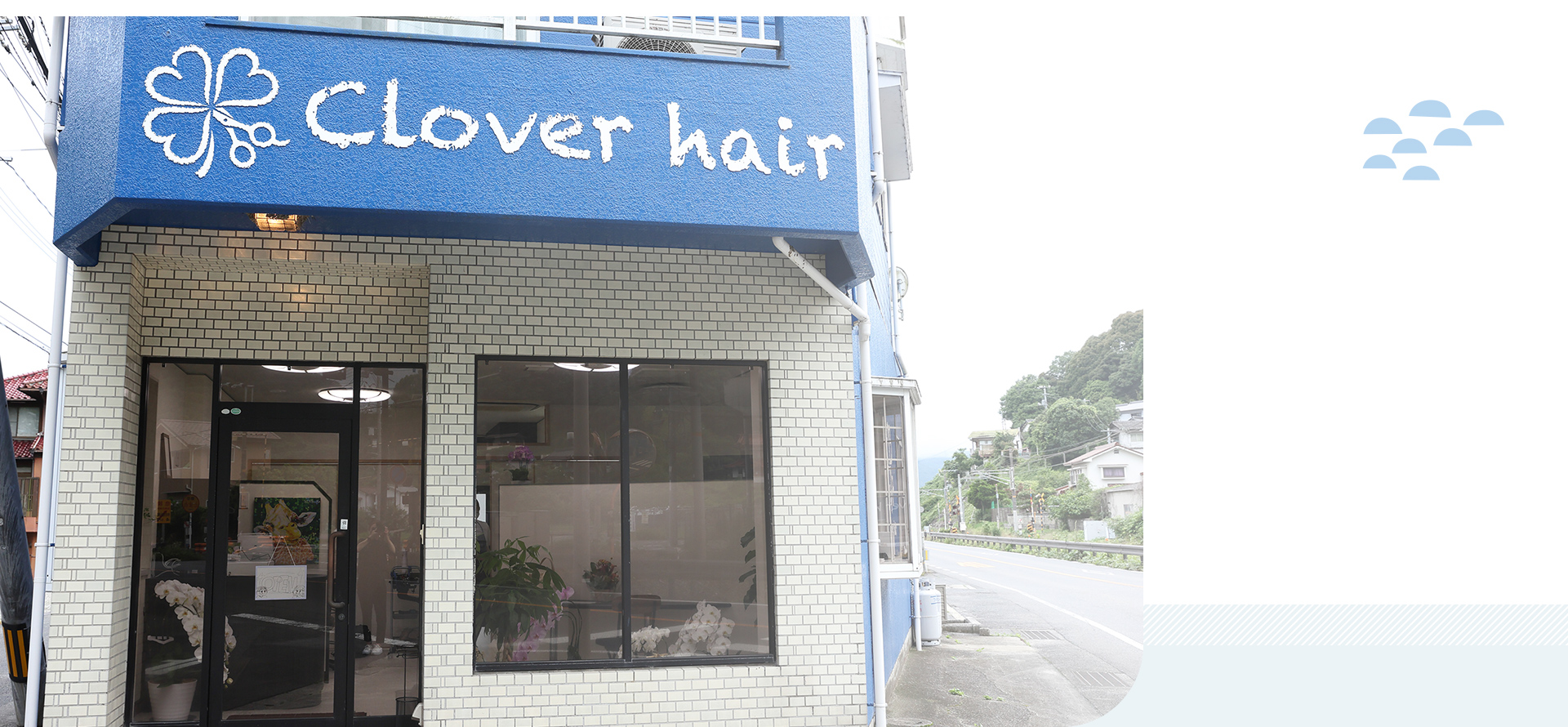 Clover hair